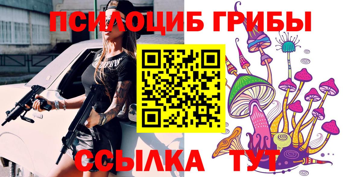 Псилоцибиновые грибы мицелий Брянск